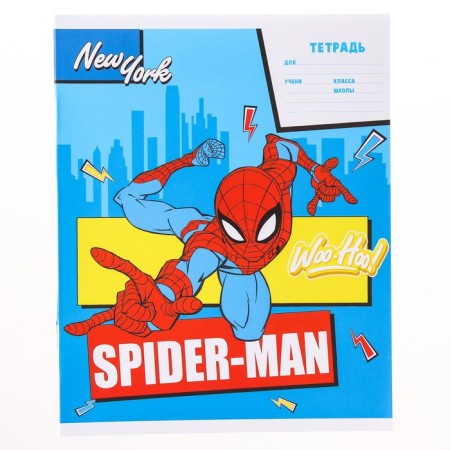 Notebook in a cage 12 sheets, 4 types of mix, cover coated paper, spider-man-6