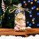 Package packing bopp, "miracles" 9*19 cm