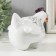 Souvenir Polystone "Funny cockerel. Surprise" 13x13x14 cm
