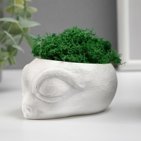 Kashpo concrete "alien" height 5 cm, diameter 6 cm white with moss (moss green. Stabilizir)-1