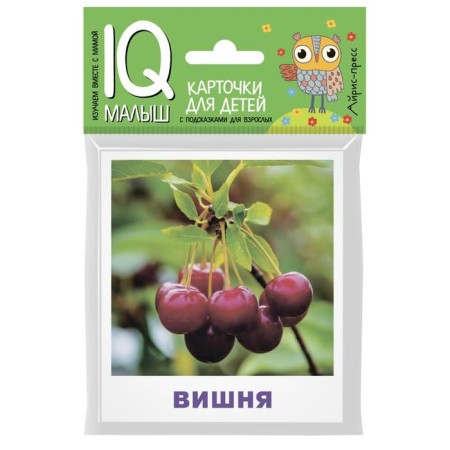 Training cards "What is growing in the garden?"