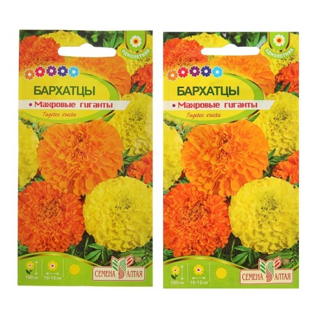 Flower seeds "Frequency giants", o, 0.3 g.-2