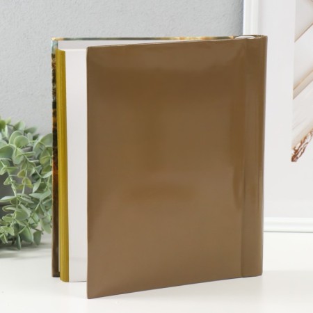 Photo album magnetic 30 sheets 23x28cm "Landshaft-5 river"-1