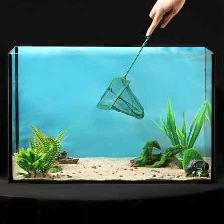 Aquarium net