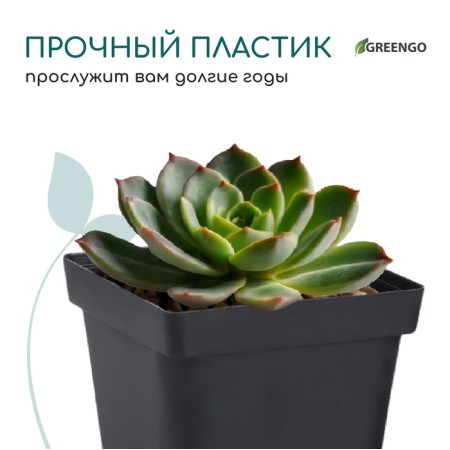 Pot for seedlings, 500 ml, d = 10 x 10 x 12.5 cm, (packaging 20 pcs.) Greengo-5