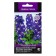 Flower seeds Dolphinium High "Magic Fontaines Dark Blue Blue Bee Bi", 10pcs