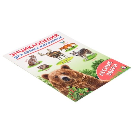 Encyclopedia for the smallest "Forest animals"-2