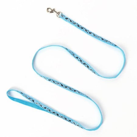 Set "Dogs", leash 120 x 1 cm, og 23-35 cm, blue-5