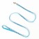 Set "Dogs", leash 120 x 1 cm, og 23-35 cm, blue