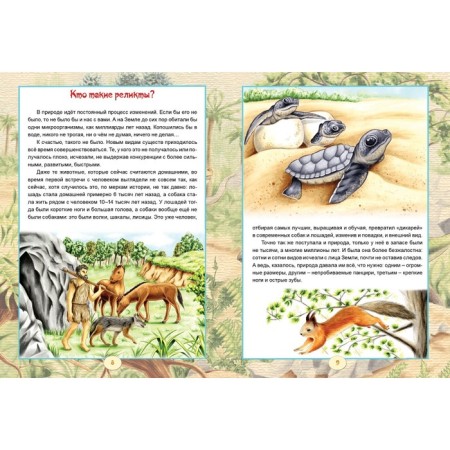 Dinosaur reserve. Perevinsky Ya. V.-2