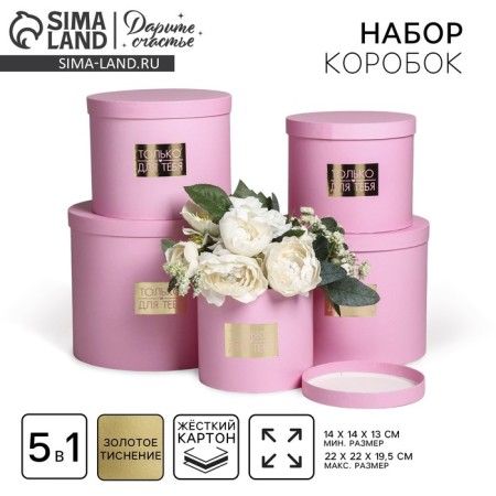 A set of hats for colors 5 in 1, gift packaging, “tenderness”, 14 x 13 cm - 22 x 19.5 cm