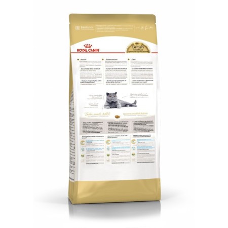 Сухой корм RC British Shorthair для британских кошек, 10 кг-1