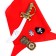 Carnival set "Lion Heart", bandana, compass, overshadow, sword