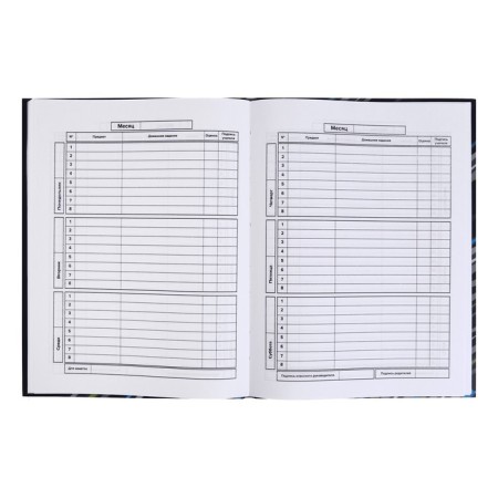 School diary for grades 1-11 Dino Gamer, Integral Cover Cross Cardboard, Selective UV-LK, Matte Lamination, 48 Sheets, 65g/M2, Universal Cheat.-4