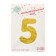 Foil ball 40 "number 5", holography, gold