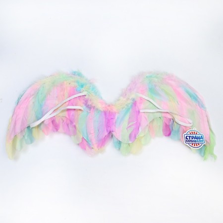 Angel wings 77 × 55 cm-1