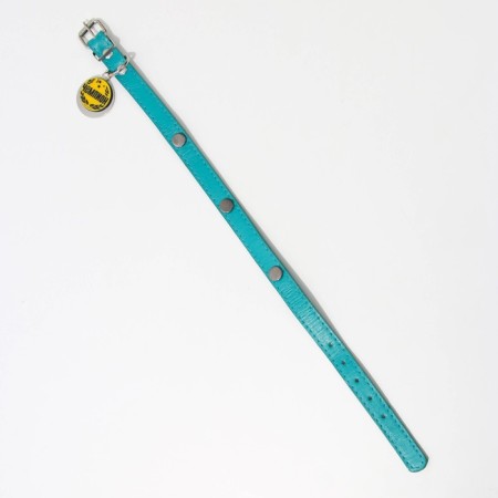 Dog collar "Champion" with an addressee, Osh 27-34 cm-5