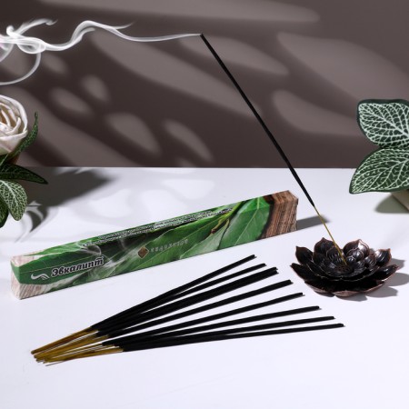 Incense "Charm of East Eucalypt", 20 sticks in packaging