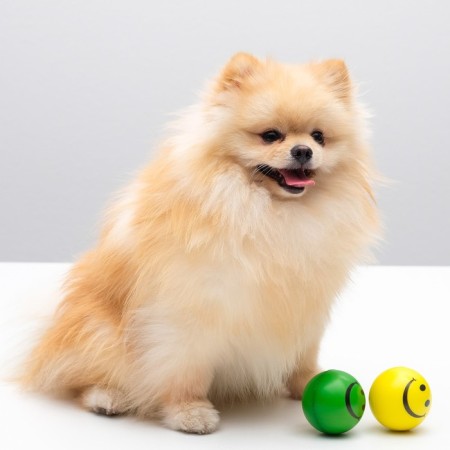 Sephron Ball "Smiley", 6.3 cm, mix of flowers-6