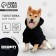 SECURITY sweatshirt for dogs (foot), size L (DS 30, Osh 38-40, OG 52-56), black