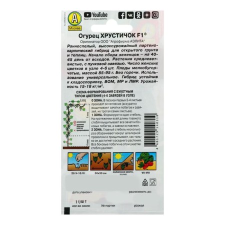 Cucumber seeds "crunch" F1, parthenocarpic, 0.25 g (10pcs)-3