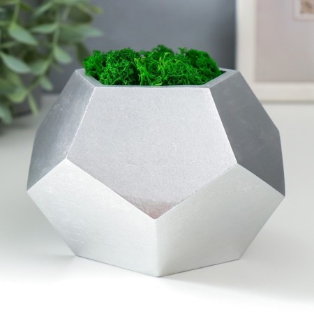 Concrete Kashpo "Pentagon" Height 8 cm silver with moss (moss green stabilizir.)