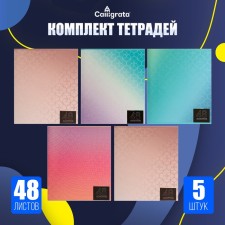 A set of notebooks of 5 pieces (4 different + 1 repeating), 48 sheets in the Calligrata “soap bubbles”, cover covered paper, block No. 2, whiteness 75% (gray sheets)