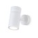 The turn -the -cloth overhead is the Ambrella Light, Move, Ta13171, GU10, white color, white