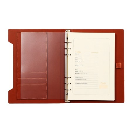 Organs on the rings, A5 format, 90 sheets, line, cover of the leather mix, with an elastic band for a handle-6