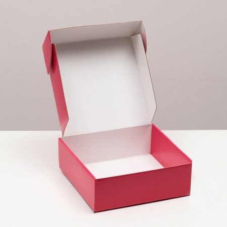 Self -charged box, red, 23 x 23 x 8 cm-2