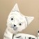 Eternal calendar "cat" tree 15x22x6 cm