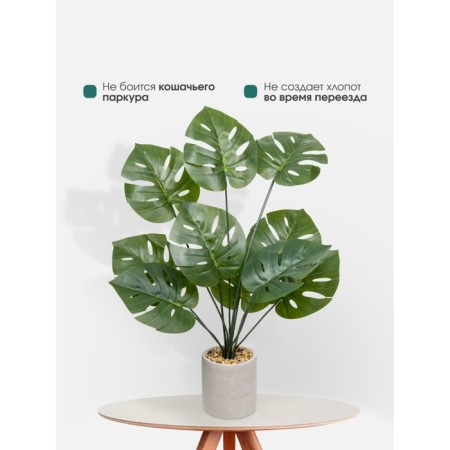 Decorative plant in a ceramic pot of Monster, 12 × 12 × 70 cm-5