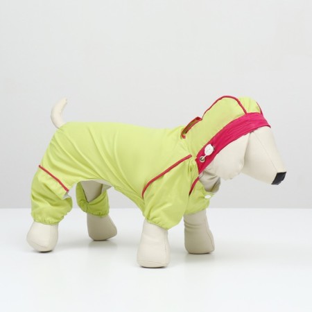 Combiason for dogs, demi -season with a bag, size M (DS 29, OG 37, Osh 27 cm), light green-1