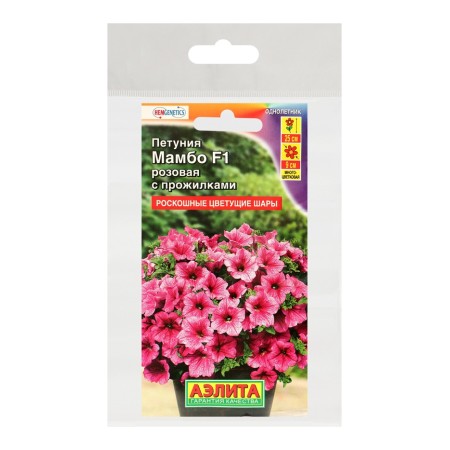 Petunia mambo F1 pink with veins multi -flowered, set 5 pcs-2
