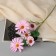 Artificial flowers "Cosmea Lady Galant" 57x8 cm, lilac