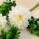 Artificial flowers "Pion Green Halo" D-6 cm 36 cm, white