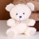 Soft toy "Bear" on a key fob, 12 cm, color mix