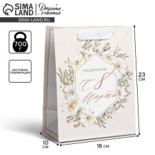 Gift Package Laminated, Packaging, Nyud, MS 18 x 23 x 10 cm