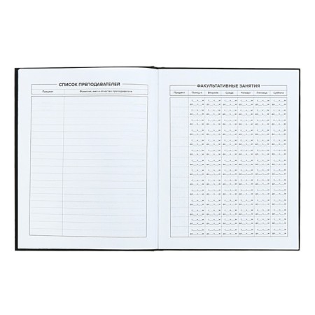 School diary for grades 1-11, 48 sheets "Main", solid cover, "software", universal cheat sheet, block 65g/m2-5