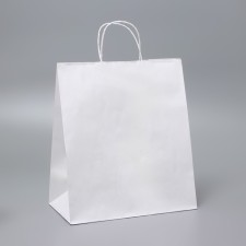 Package Crafts without print, white, twisted pen, 28 x 15 x 32 cm