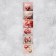 Paper stickers for the Diary "Piones, 4 × 23 cm