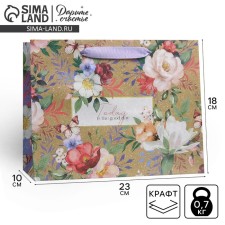 Package Gift Craft Horizontal, Packaging, 