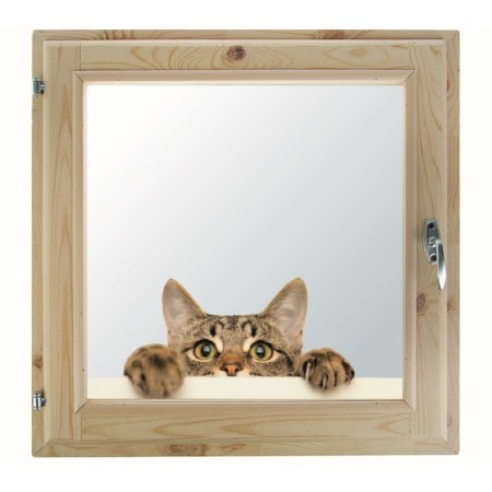 Window, 50 × 50cm, "cat", single -chamber double -glazed window