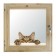 Window, 50 × 50cm, "cat", single -chamber double -glazed window