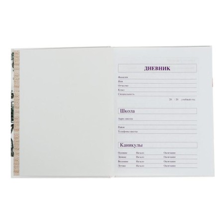 Diary for the music school 40 sheets "Vida-01", hard cover, glossy lamination-3