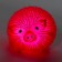 Hedgehog "Pig" light, Mix color