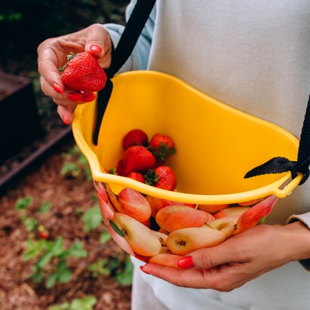 Container for collecting berries, 3 l, "apples", yellow-12