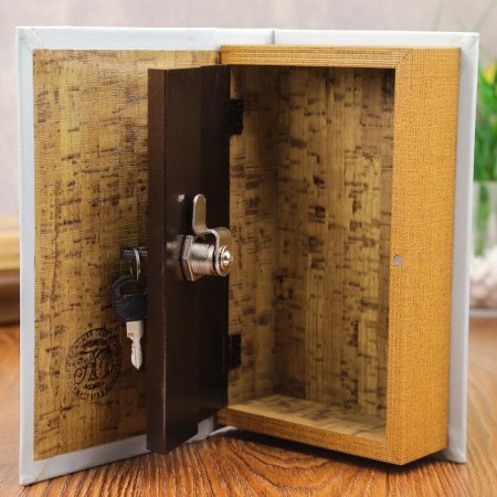 Safe - book "Savings Book" 21x13.5x5 cm-2