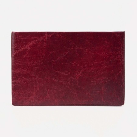 Cover for passport, red color-1