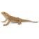 Figure "Bearded Lizard", l